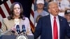 Başkan Yardımcısı Kamala Harris'in kampanyası geçen ay 310 milyon dolar topladığını açıkladı. Trump, Temmuz ayında 138,7 milyon dolar toplamıştı. Harris’in kampanyası Ağustos ayına 377 milyon dolar nakitle girerken, bu rakam Trump kampanyası için 327 milyon dolar. 