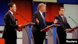 Marco Rubio, Donald Trump ve Ted Cruz