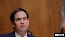 Thượng nghị sỹ Marco Rubio lên án Trung Quốc đàn áp ở Tân Cương