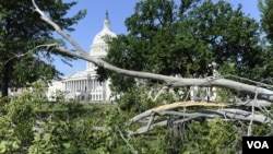 Bão làm cây bật gốc gần Điện Capitol ở Washington, 30/6/2012