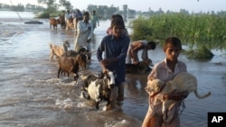 د جنوبي اسیا په یو شمېر هېوادونو کې هر کال همدغه وخت موسمي بارانونه کیږي چې یو شمېر خلک مړه کوي او ډېرې سیمې هم ورانوي.