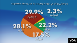 د افغانستان په هکله د BBG او گلوپ سروی