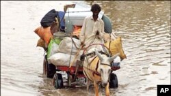 صوبہ سندھ میں بارش سے خوفناک تباہی، درجنوں دیہات بہہ گئے