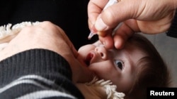 A health worker administers polio vaccination to a child in Raqqa, eastern Syria, Nov. 18, 2013.