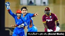 afghanistan cricket rashid khan