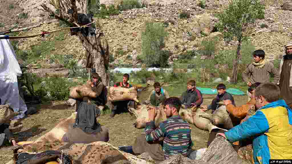 د کانتیوا دره کې مالداران د مالونو په څرمنو یا ګوډو کې ماسته شاربي چې کوچ او شلومبې ترې وباسي. 