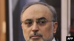 Ông Salehi cho biết công nhân đã chất xong các thanh nhiên liệu vào lò phản ứng tại nhà máy hạt nhân Bushehr, và nhà máy có thể bắt đầu sản xuất điện vào tháng Hai năm 2011