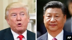 Tổng thống Hoa Kỳ Donald Trump (trái) và Chủ tịch Trung Quốc Tập Cận Bình. 