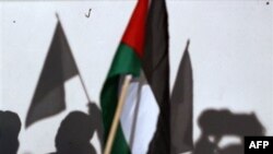 Các nhà hoạt động cứu trợ thuộc nhóm Viva Palestina trụ sở tại Anh cho biết họ chở phẩm vật cứu trợ gồm có thực phẩm, thuốc men và các tiếp liệu khác dành cho người Palestine ở Gaza