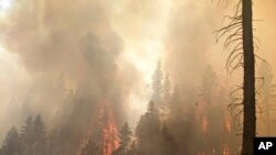 FILE - Trees burn at the Bootleg Fire in southern Oregon, July 25, 2021, in this photo provided by the Bootleg Fire Incident Command.