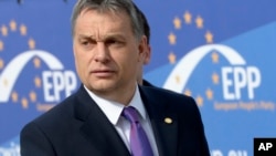 Macaristan Başbakanı Viktor Orban