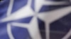 NATO Flag (File)