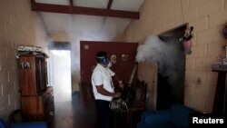 Một nhân viên y tế khử trùng khu Altos del Cerro ở El Salvador để phòng ngừa virus Zika hôm 21/1.