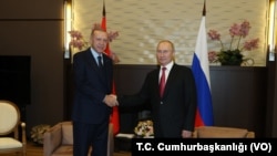 Cumhurbaşkanı Erdoğan ve Rusya lideri Vladimir Putin