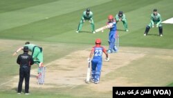 Afghanistan cricket 