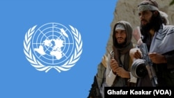 UN Taliban