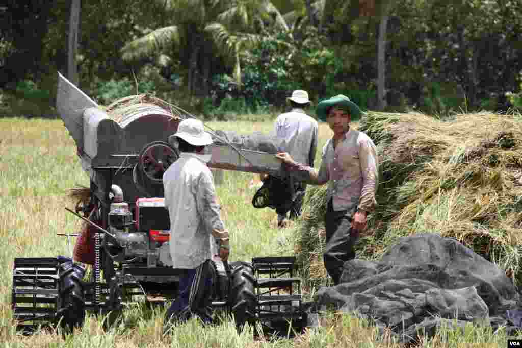 C&ocirc;ng nh&acirc;n d&ugrave;ng m&aacute;y để đập l&uacute;a. 14/9/2012. (D. Schearf/VOA)