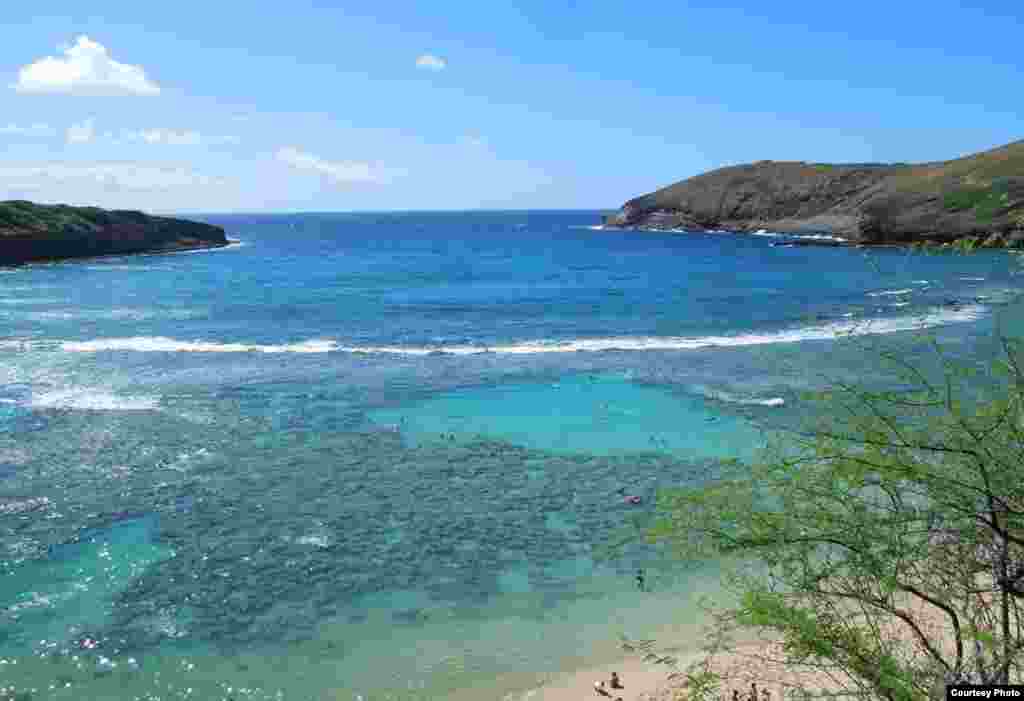 Hanauma Bay hấp dẫn du khách thích lặn xem cá.