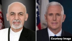 PENCE GHANI